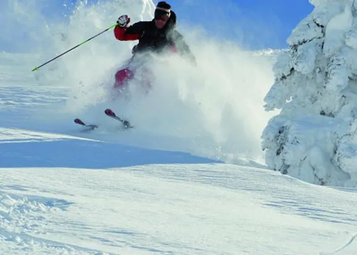 Hotel Wellnesshotel Schoenruh - Adults Only Seefeld in Tirol